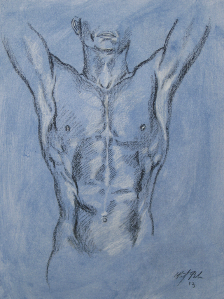 Study of a Male Torso '13 realist charcoal drawing 9inx12in - Liz Parker...